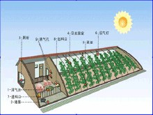 生態農業模式