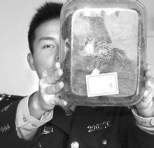 案值