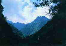 唐家河