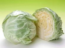 包心菜