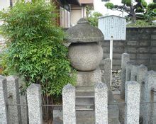 和田惟政