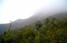 牛嶺