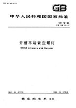 開槽平端緊定螺釘