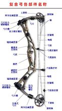 複合弓
