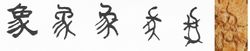 象:哺乳動物