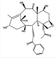 乙酰化