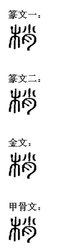 梢