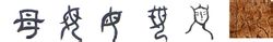 母