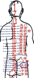 次髎穴