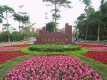 大安森林公園