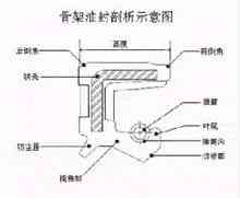 骨架油封