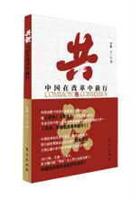 共識:羅曉、於一編著圖書