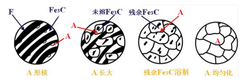 奧氏體化