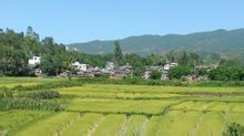 慶豐村:雲南姚安縣棟川鎮慶豐村