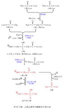 酮體