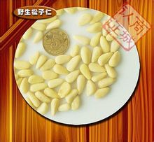 松子仁
