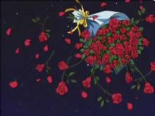 撒花
