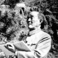 應野平