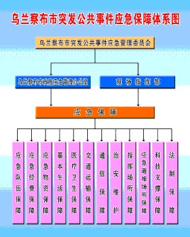 关于加强突发公共事件应急管理体制机制建设的若干意见