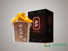 養生酒