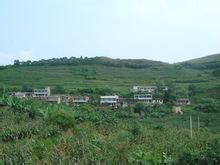 新街村:雲南省新平縣者竜鄉新街村