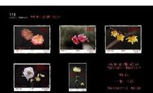 特種郵票