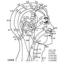 天鼎穴