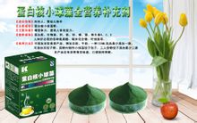 蛋白核小球藻