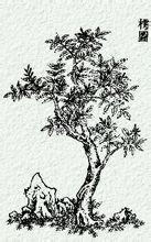 小雅·我行其野