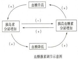 生命活動